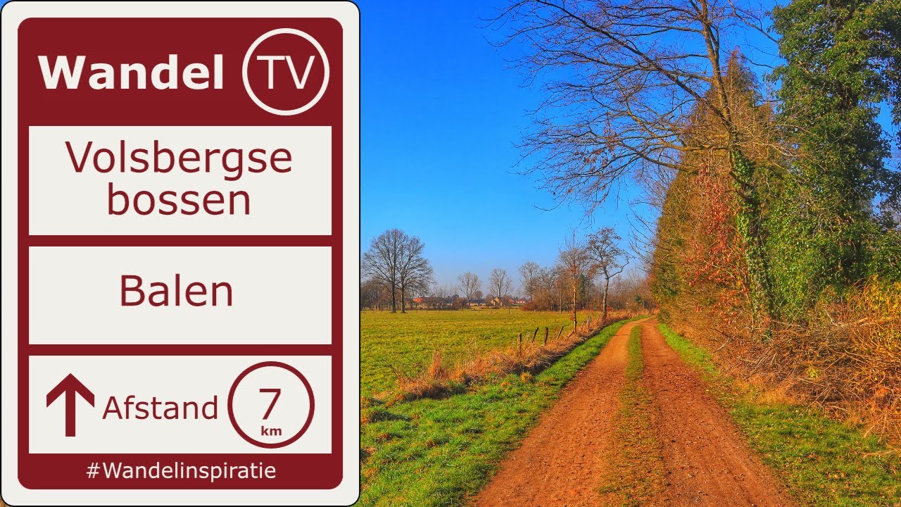 Wandelen in de Volsbergsebossen in Hulsen (Balen)  | Wandelen in de Kempen | Wandel TV