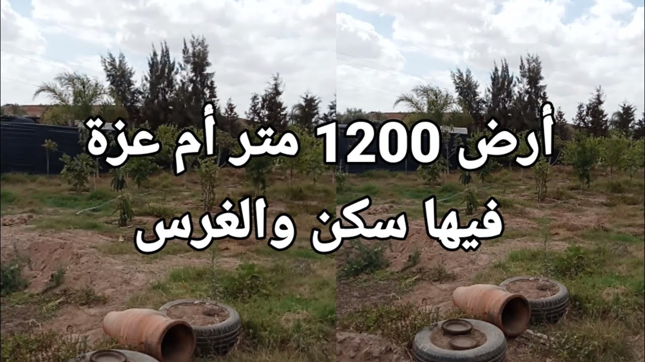 أرض أم عزة مساحة 1200 متر مسجلة محفضة
