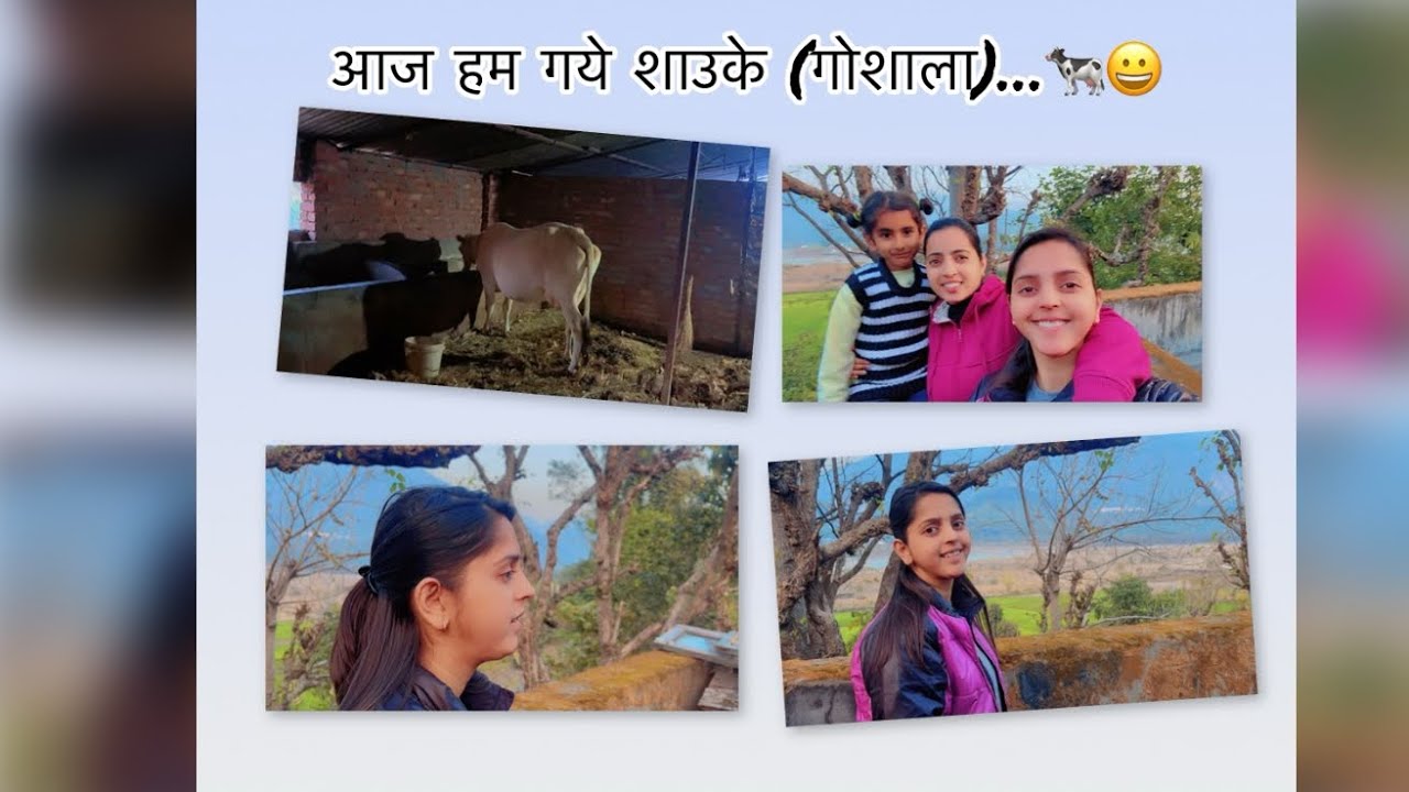 आज हम गये (शाउके) गोशाला …🐄😀                                                        