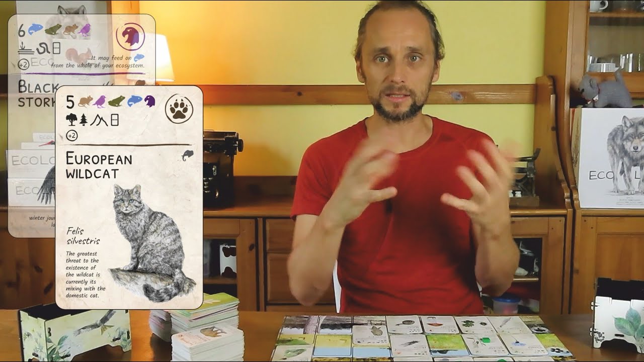 EcoLogic   basics of mechanics and expansions