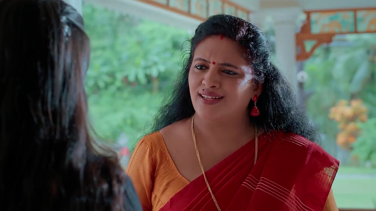 Akale - Full Ep - 228 - Prathapa Verma, Rithika, Raju - Zee Keralam