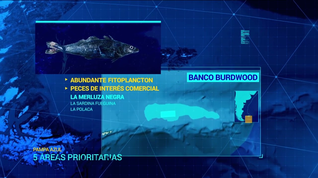 Pampa Azul Territorio