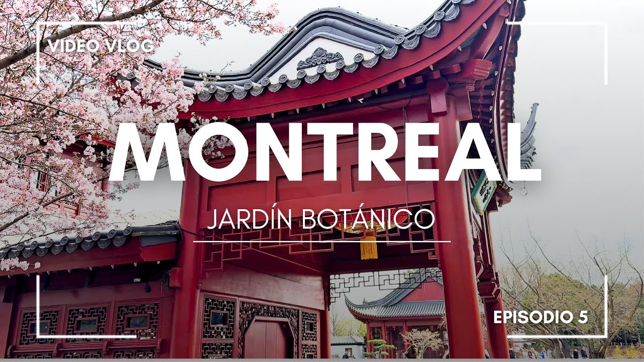 Visitando el Jardín Botánico de montreal | Jardín Chino + Flores de Sakura 🌸 | Vlog 5 TodoconYvs