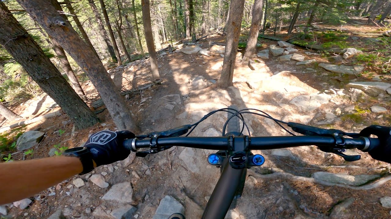 Giving Mountain Lions Everywhere a Good Name | Golden Gate State Park | Golden, Colorado