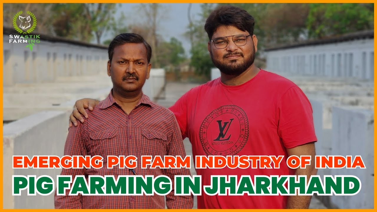 PIG FARMING IN JHARKHAND || WITH DR. RAVINDRA KUMAR, BIRSA AGRICULTURE UNIVERSITY, JHARKHAND