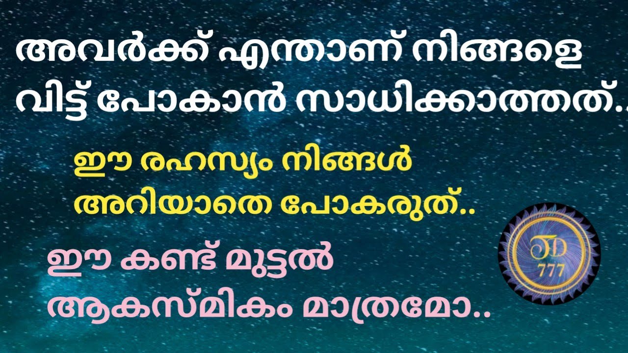 നിങ്ങൾ സ്നേഹിക്കുന്ന വ്യക്തിയുമായുള്ള ബന്ധം ആകസ്മികം ആണോ..@tarotdexterity777.