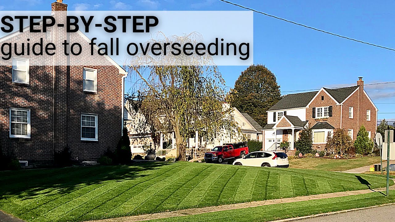 7 Simple Steps to fix an Ugly Lawn 💪 Plan for Success!
