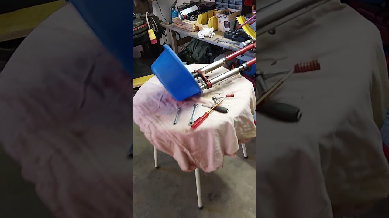 Puch Mc50 ll Gabel Revidieren