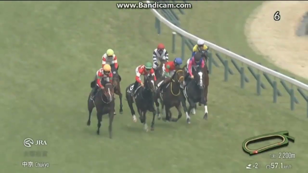 2026 大寒桜賞 (3歳1勝クラス)　テルヒコウ