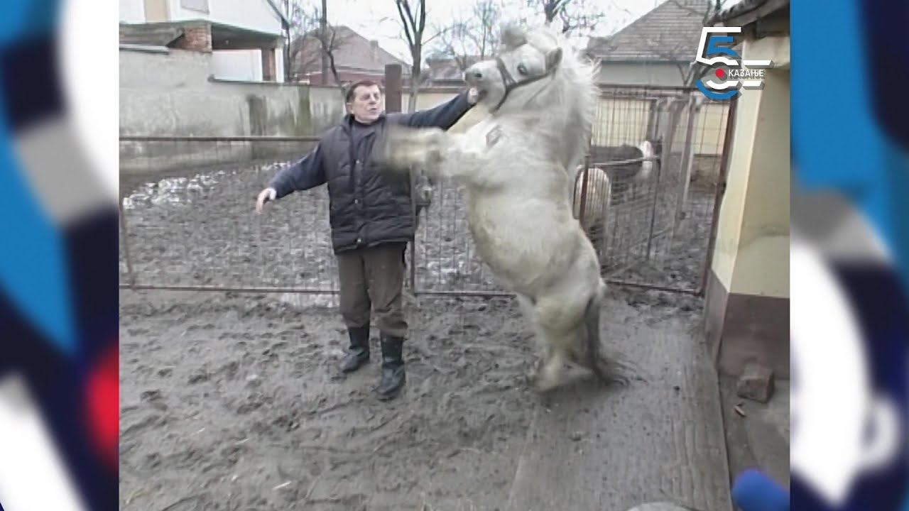 Nije cirkus- to je ljubav