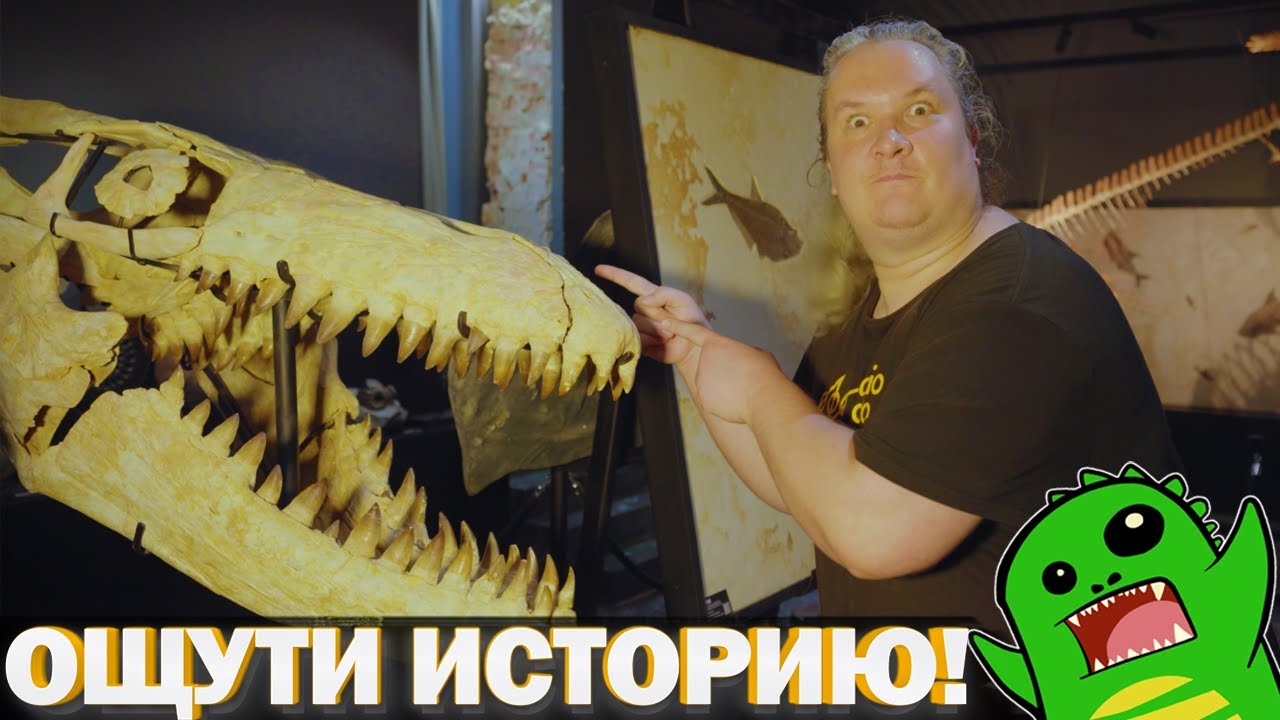 Динозавры, которых можно потрогать!