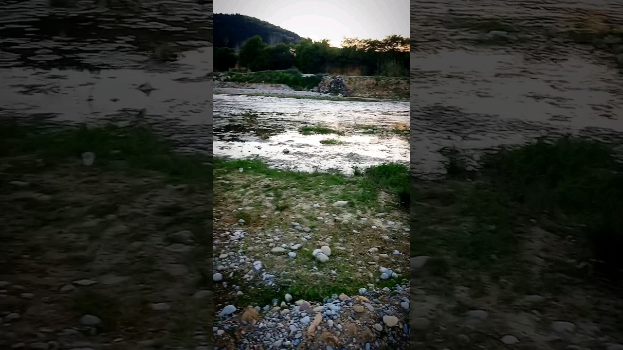 Finding A Big White Agate
