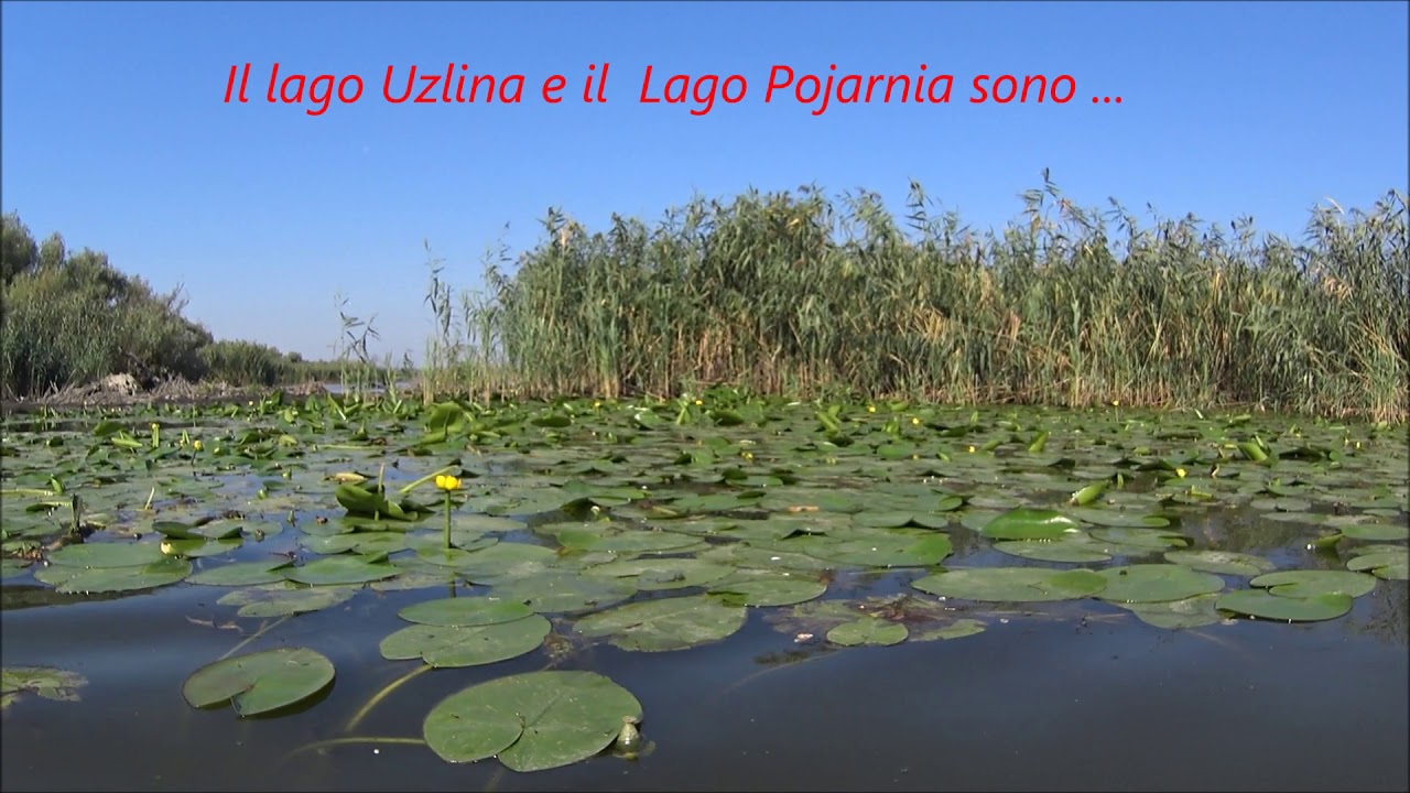 Viaggio in Romania, il Delta del Danubio.