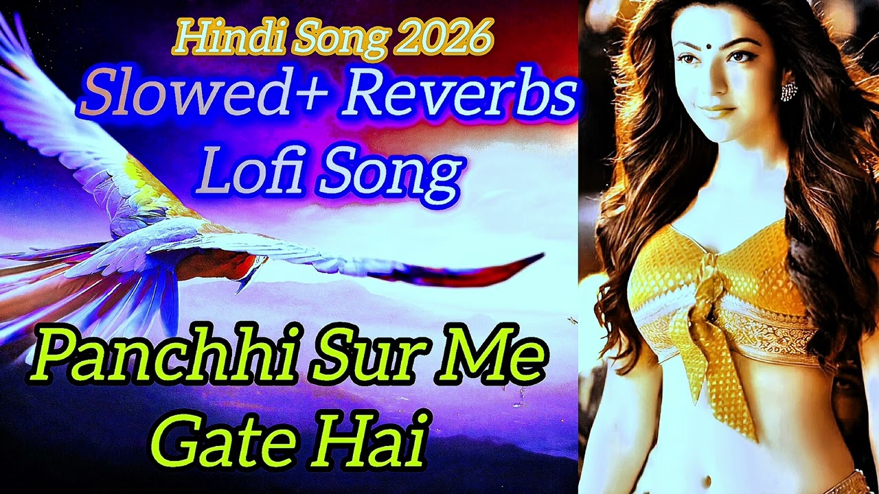 Pachhi Sur Me Gate Hai 🎧 | Hindi Lofi + Slowed Reverb | Relaxing Song 2026