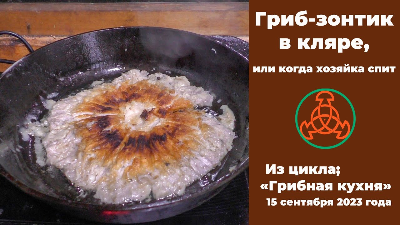 Гриб -зонтик в кляре, или когда хозяйка спит. Из цикла 