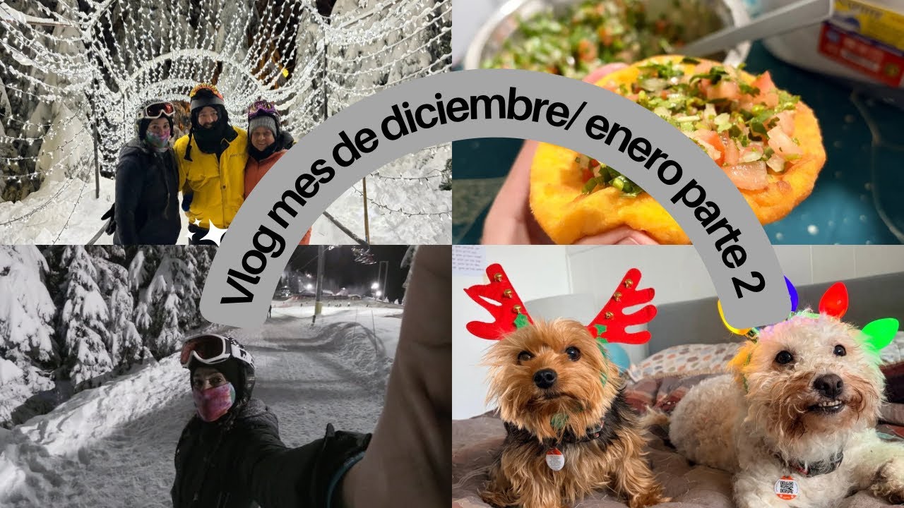 Vlog mes de diciembre y enero