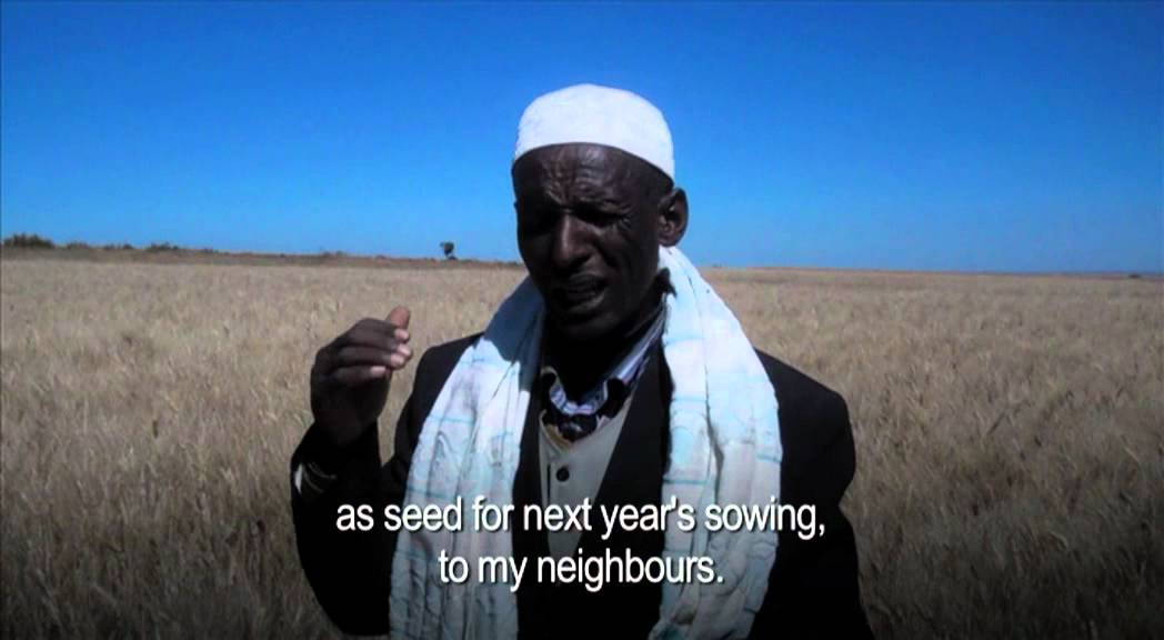 Agricultural Value Chains In Oromia