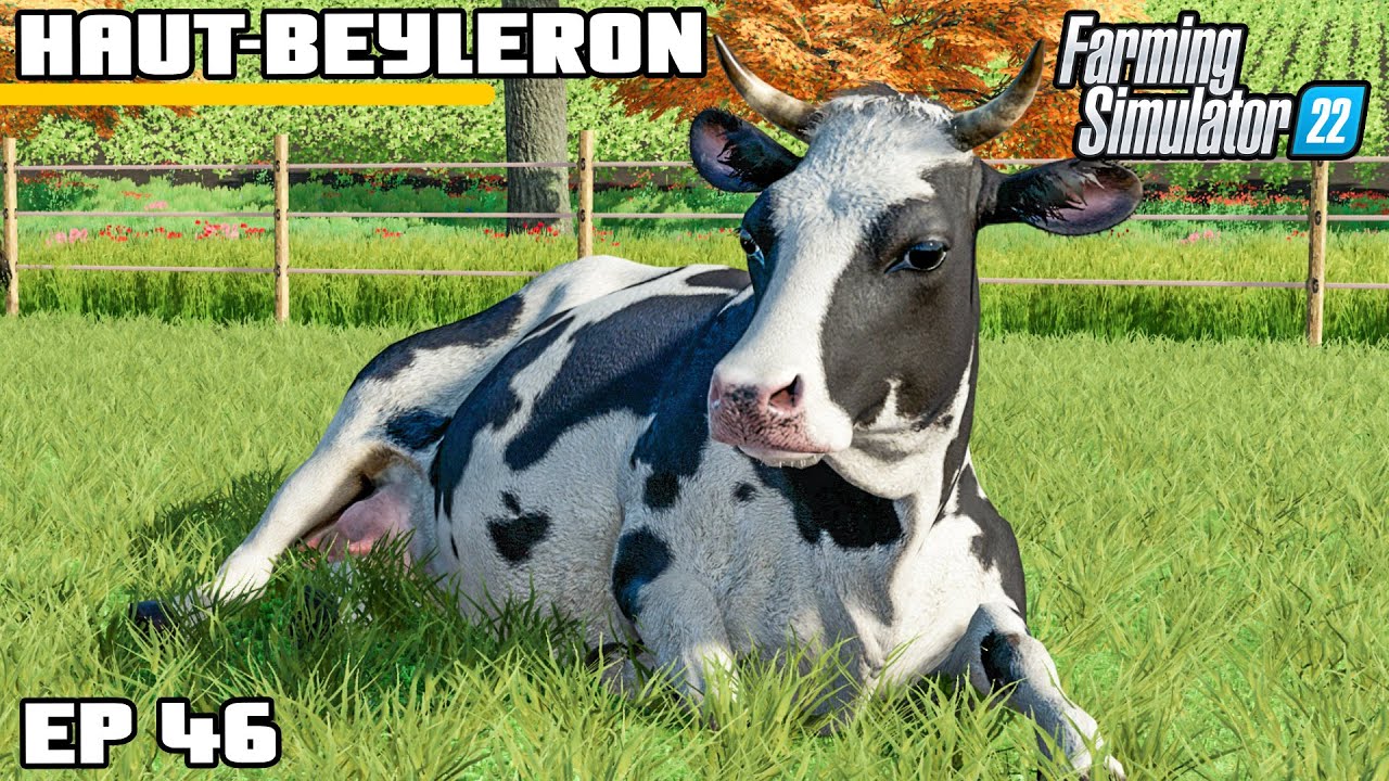 У НАС ЕСТЬ КОРОВЫ! | Farming Simulator 22 - Haut-Beyleron | Эпизод 46