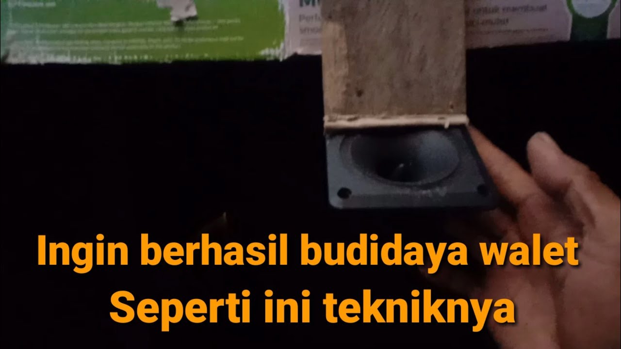Letak tweeter tarik di lar yang benar dan terbukti di rbw mini asal jadi
