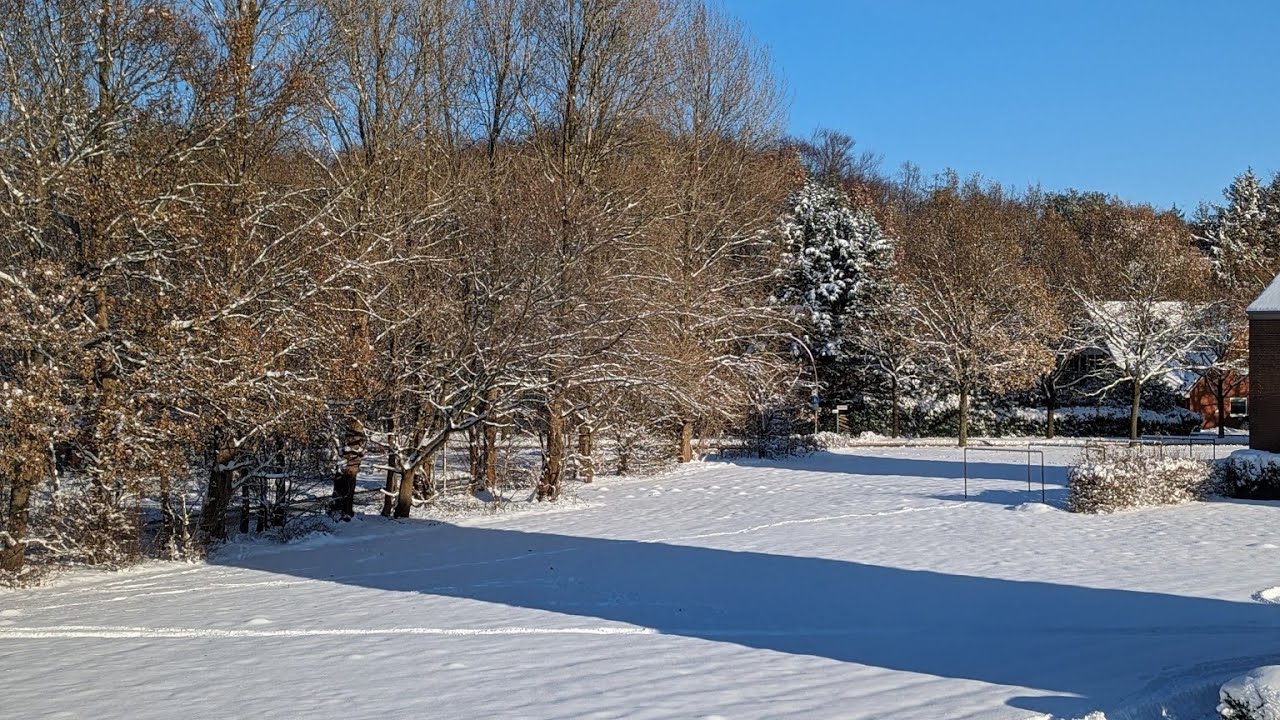 when winter tries to turn into spring, but despite efforts fails to do so. #fun #synth #musik #music
