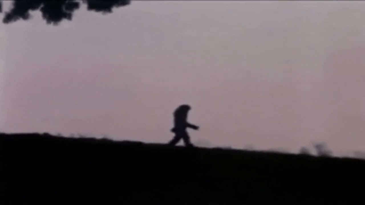 hichi - po co