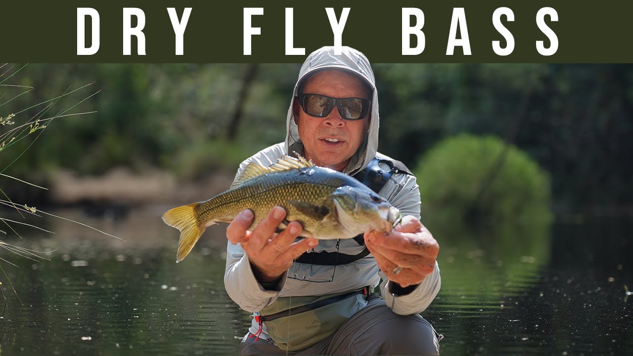 Rio Single Handed Spey Line For Bass....The Walk & Wade Line