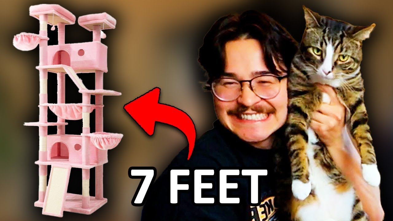 I Bought My Cat a 7 Foot Cat Tower Because My Only Purpose In Life Is To Spoil Him