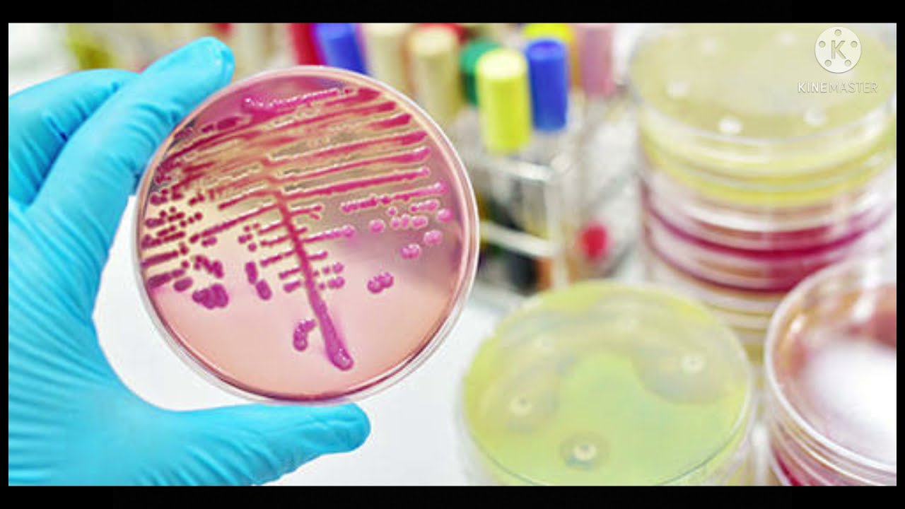 Biosafety and Biosecurity