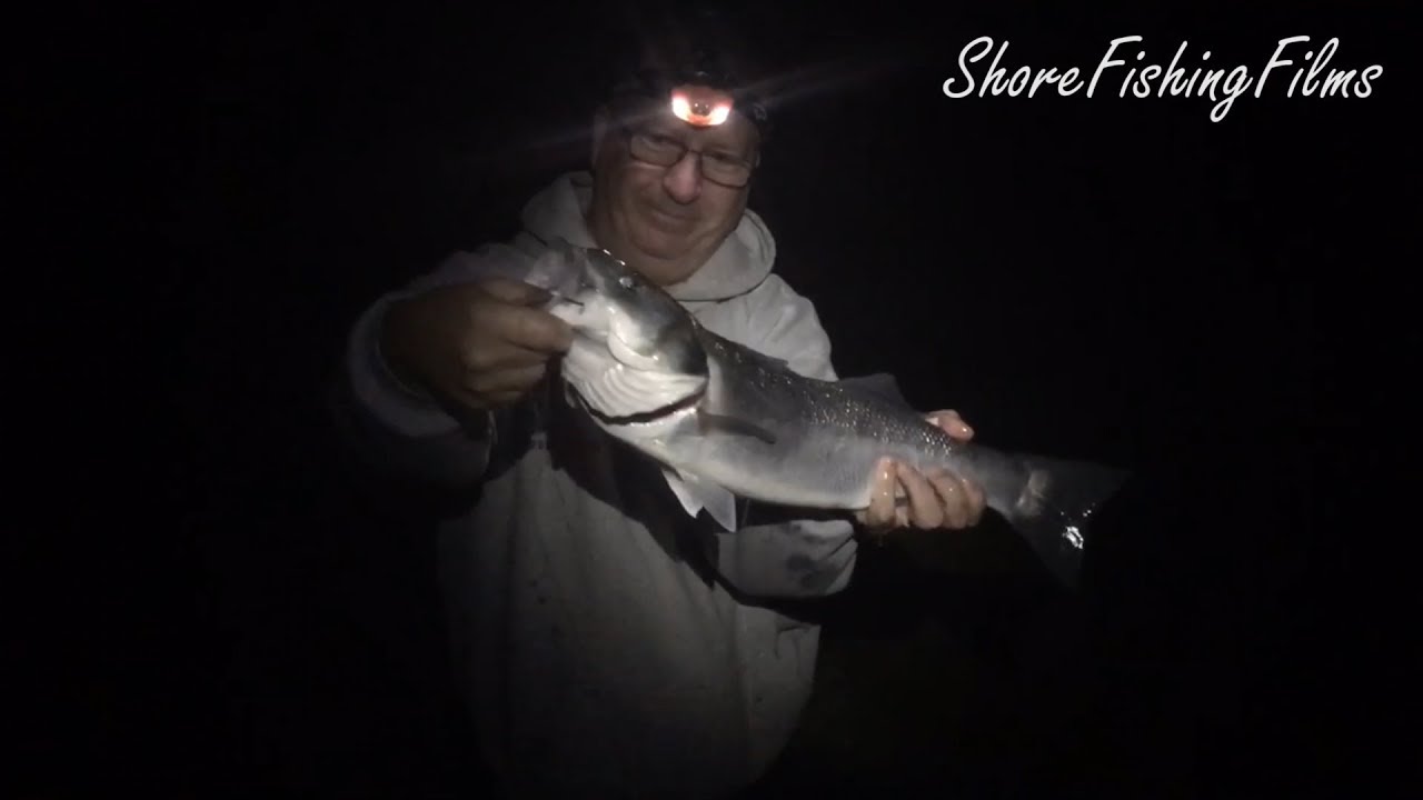 Bass Fishing in North Devon