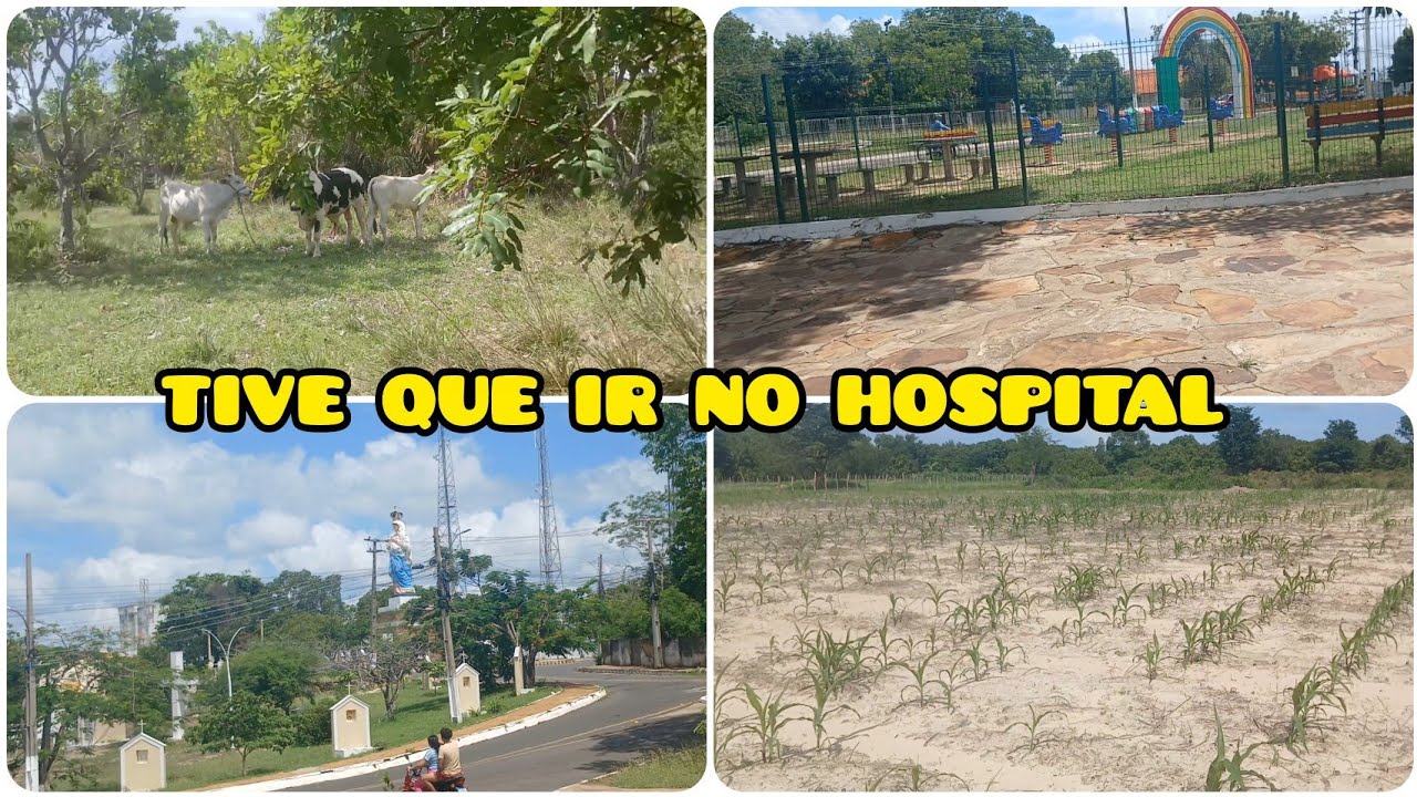 DA ROÇA PARA CIDADE DOIS LUGARES LINDOS DE SE MOSTRA 