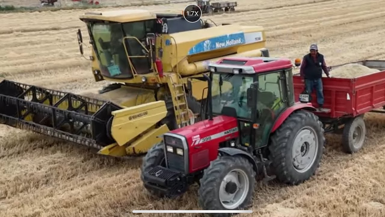 New holland TC56 biçerdöver ile buğday hasatı 