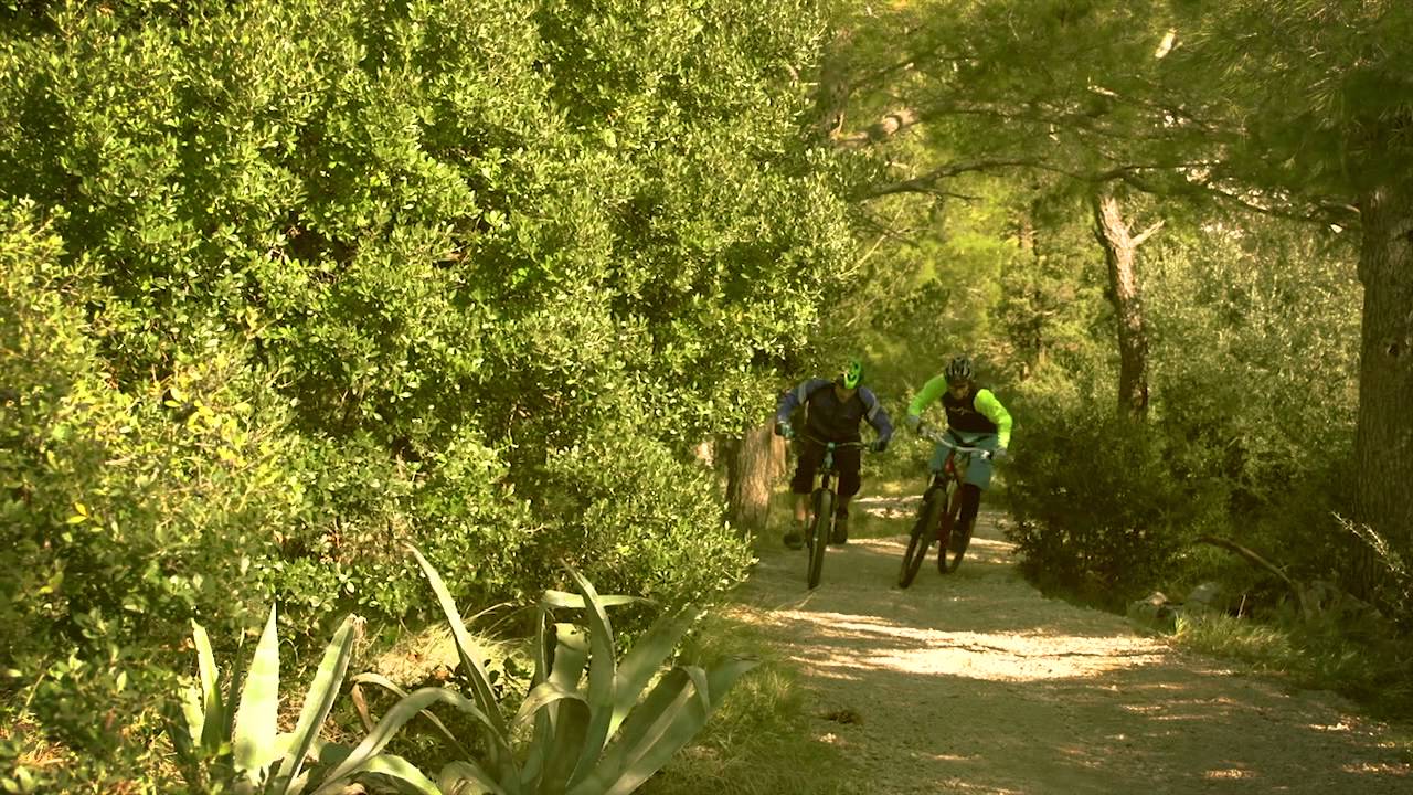 Dartmoor Gravity Hardtails - Hornet vs Primal
