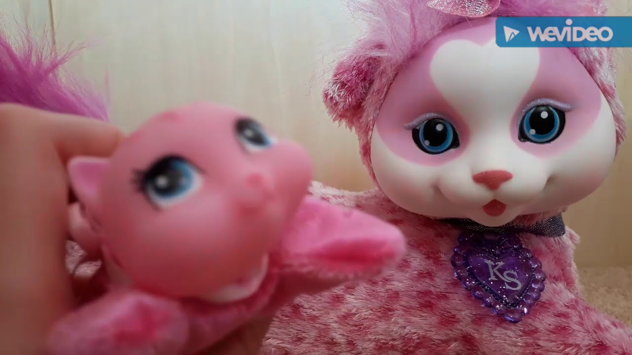 Kitty Surprise Review!!