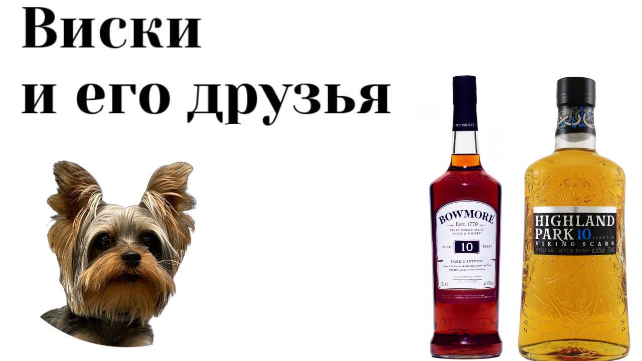 Highland Park 10 viking scars против Bowmore 10