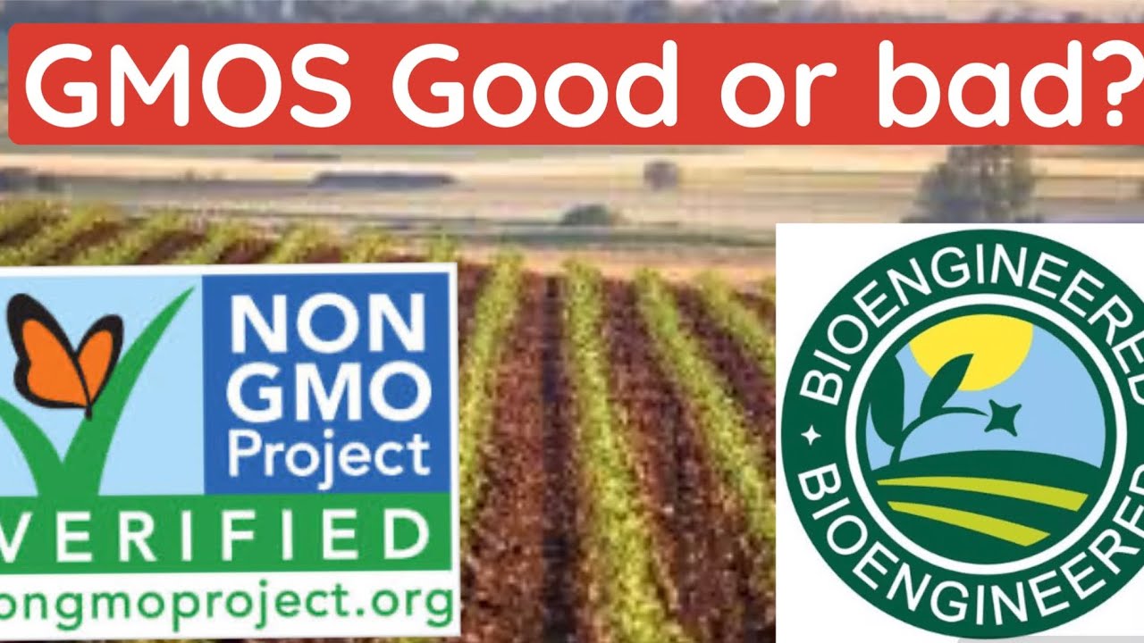GMOS? Vs NON GMOS
