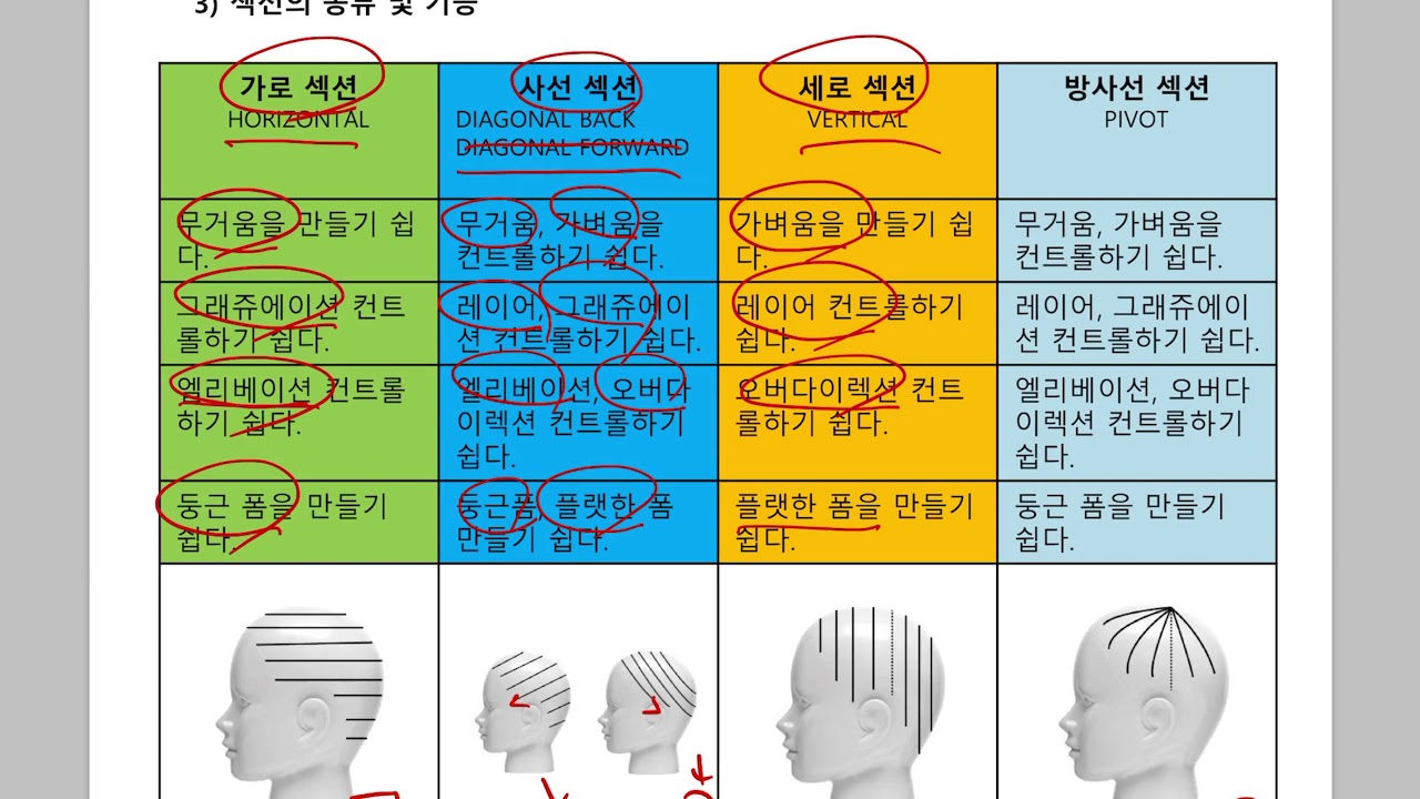 커트이론: 네 번째 이야기-섹션 & 커트기법