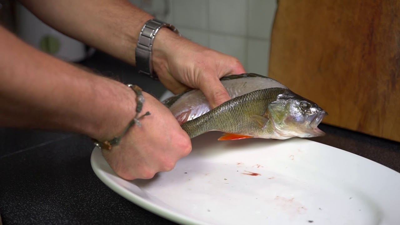 Barsch H&Auml;UTEN IN SEKUNDEN - Menschenfischen