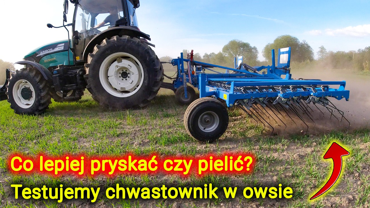 Органическое выращивание овса 👉 естируем борону для сорняков в поле 👉