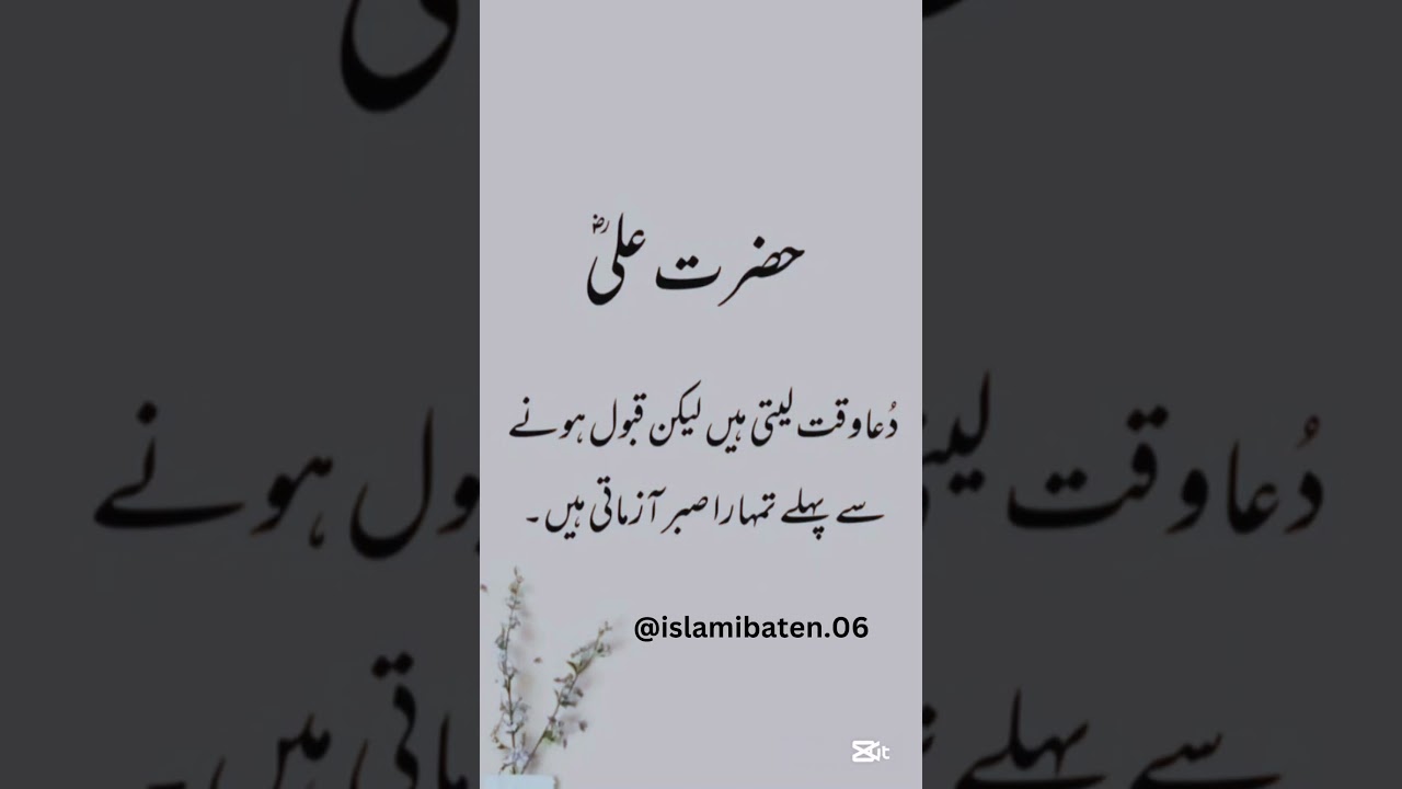 #islamicstatus ##islamicpoetryinurdu #islami #unfrezzmyaccount #islamistories