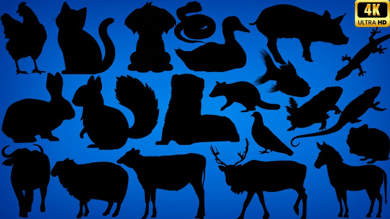 Guess the Domestic Animal by Its Shadow! 🐾 80 Shadow Animal Quiz for Kids & Families