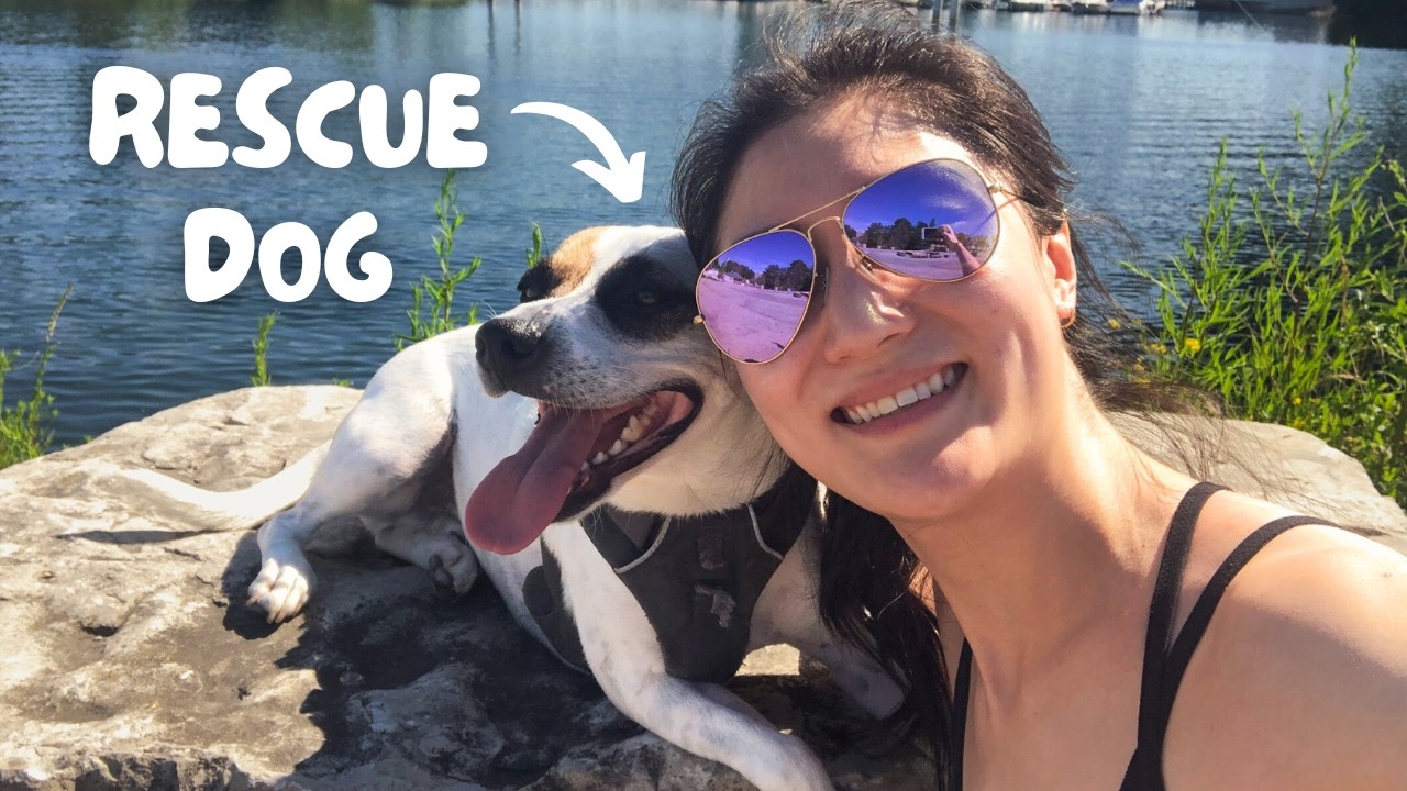 Things you *MUST* know before adopting a dog! 🐶