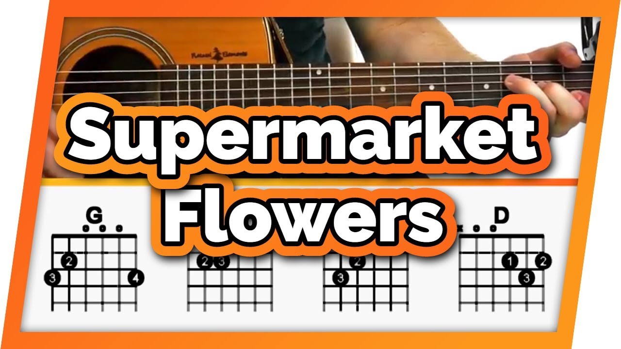 Supermarket Flowers Guitar Tutorial (Ed Sheeran) Easy Chords Guitar Lesson