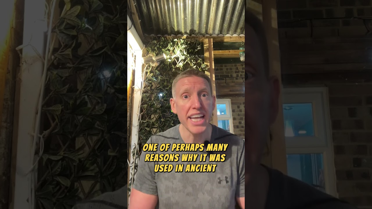 Plastering: The Secret to a Perfect Wall!