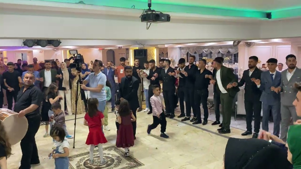 Mükemmel bir Boğa ailesi düğünü  koma Şengal Menejerlik 0532 593 66 62
