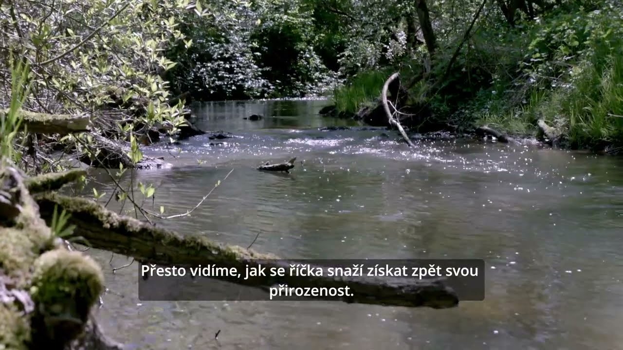 1. Př&iacute;rodě bl&iacute;zk&eacute; vodn&iacute; toky ve voln&eacute; krajině