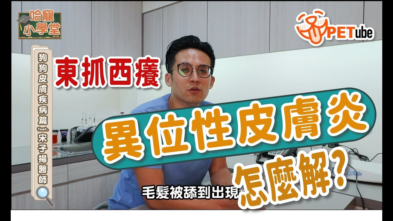 【🎥#哈寵PETube】 第144集 狗狗皮膚疾病篇 feat  宋子楊 醫師
