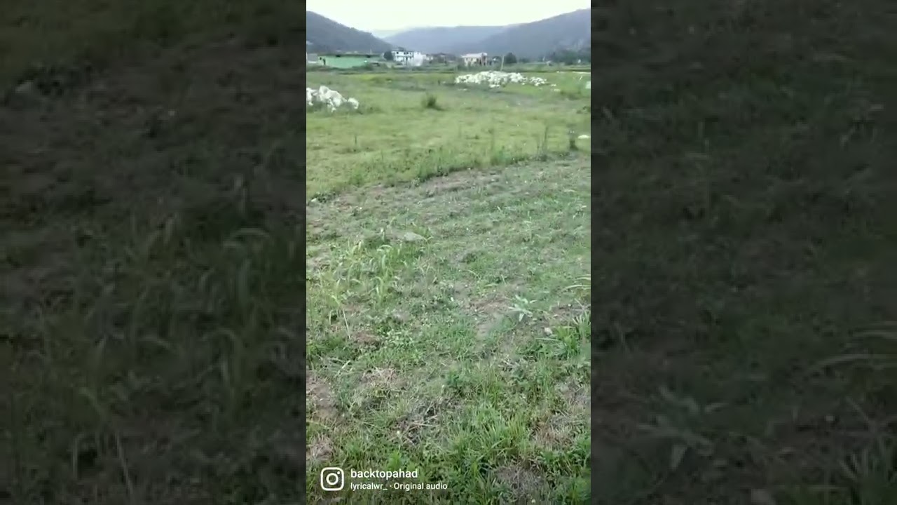 गाँव की याद 