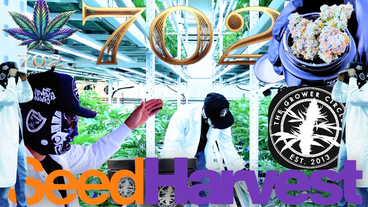 Seed to Harvest 🌱 Inside The Grower Circle Licensed Cultivation Facility (Las Vegas)
