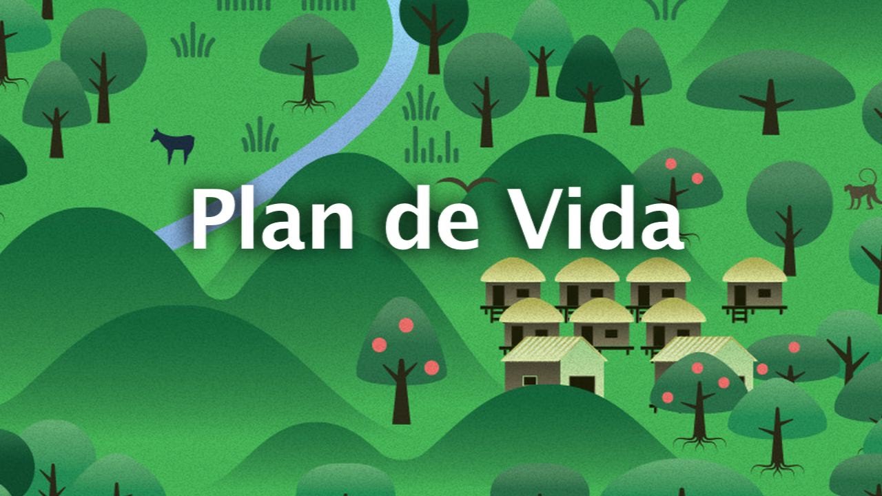 Plan de Vida