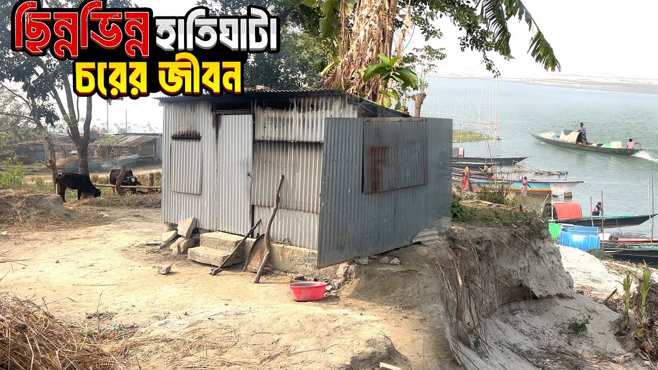 বিলুপ্তপ্রায় মানিকগঞ্জের হাতিঘাটা চরের জীবন । Manikganj Hatighata Char